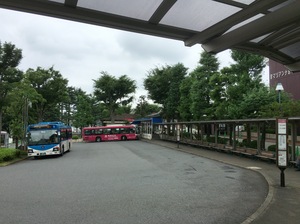 IMG_1722.JPGのサムネイル画像